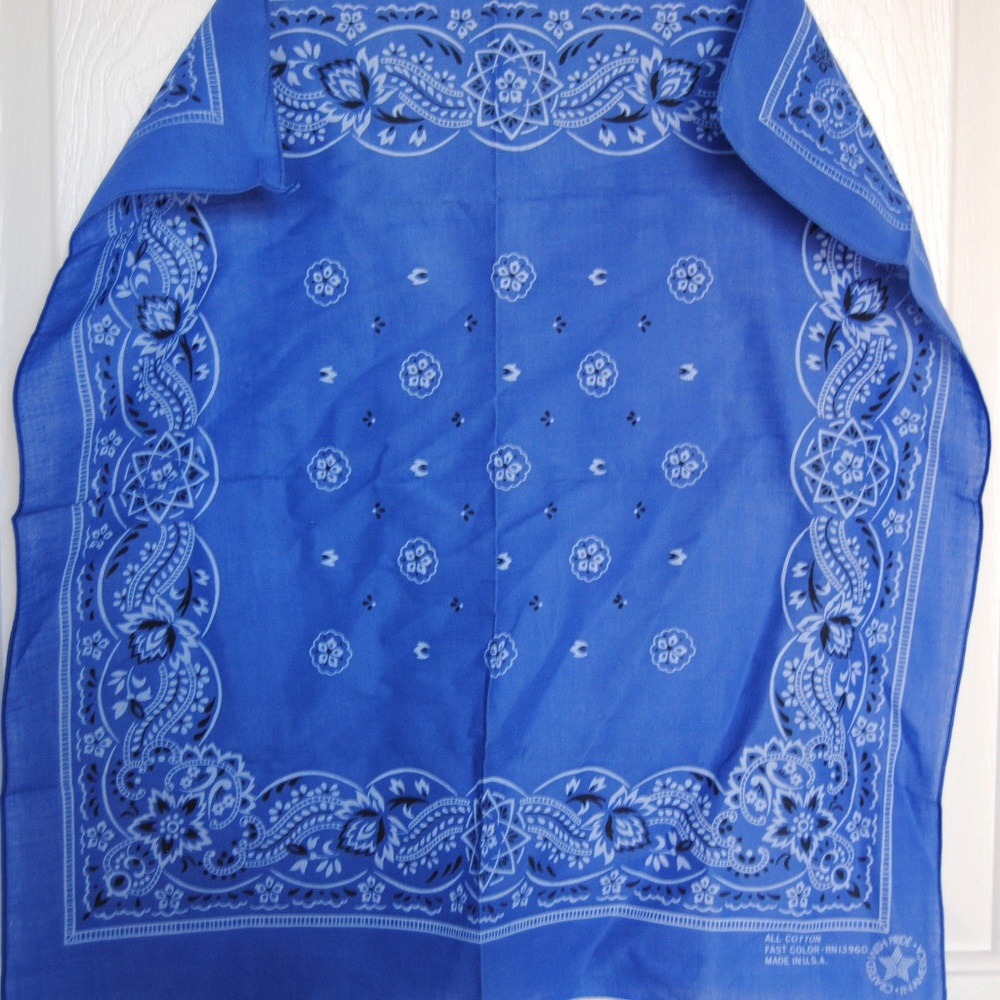Blue Bandana